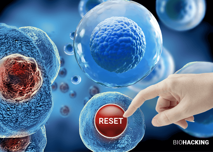 Cellular Reprogramming: The Elixir of Youth or a Pandora’s Box?